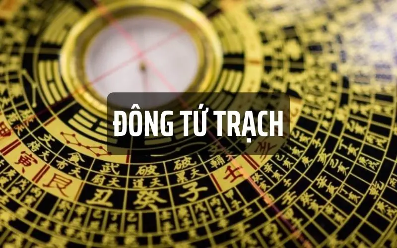 Đông Tứ Trạch Gồm Những Hướng Nào Hợp Với Tuổi Bạn