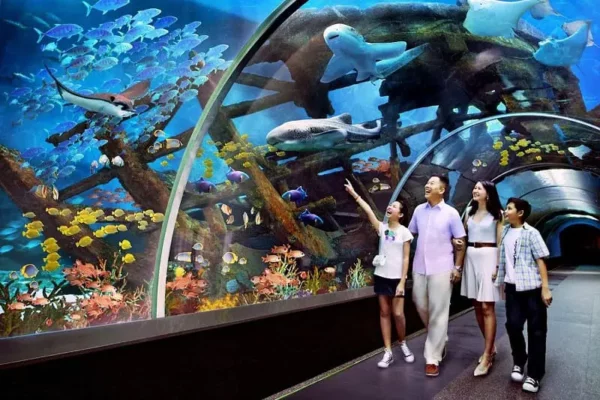 Khám Phá Thủy Cung Vinpearl Land Aquarium 